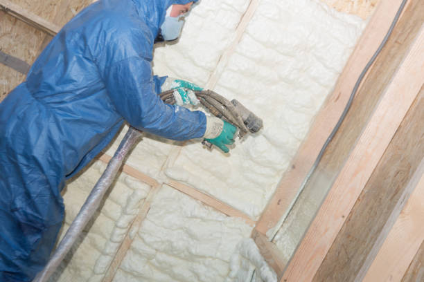 Best Blown-In Insulation  in Hope Mills, NC