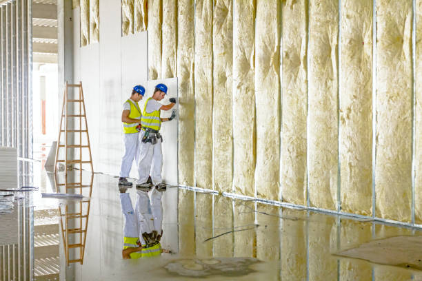 Best Basement Insulation  in Hope Mills, NC